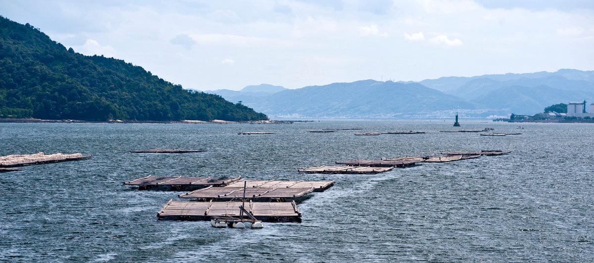 広島市にある草津港に大諭海産はございます。