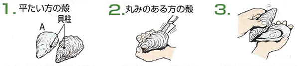 殻付かきの開け方